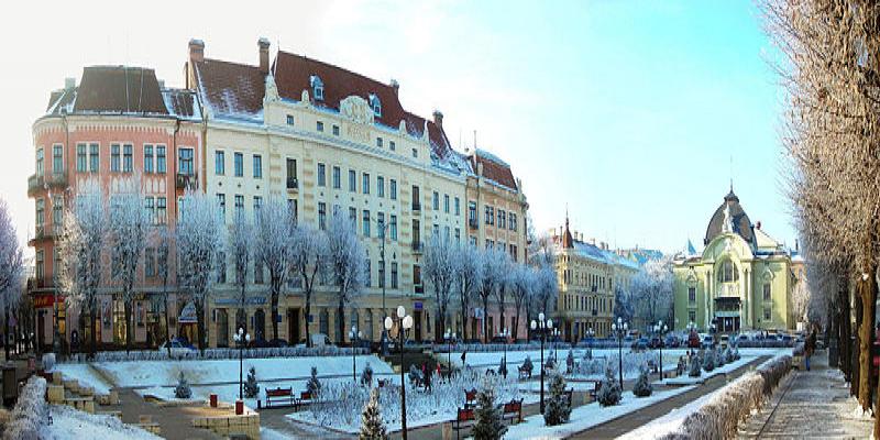 Bukovinian State Medical University,Ukraine