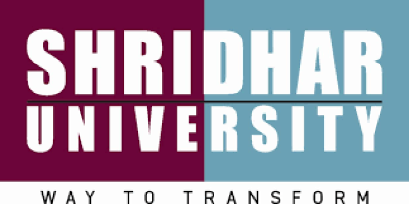 Sridhar University,Rajasthan